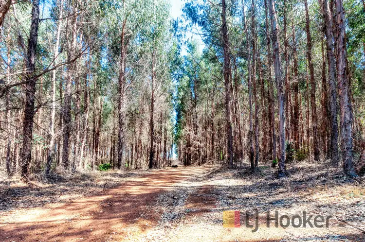 Third view of Homely rural property listing, Lot 101 Mersea Road (Wilgarrup), Manjimup WA 6258
