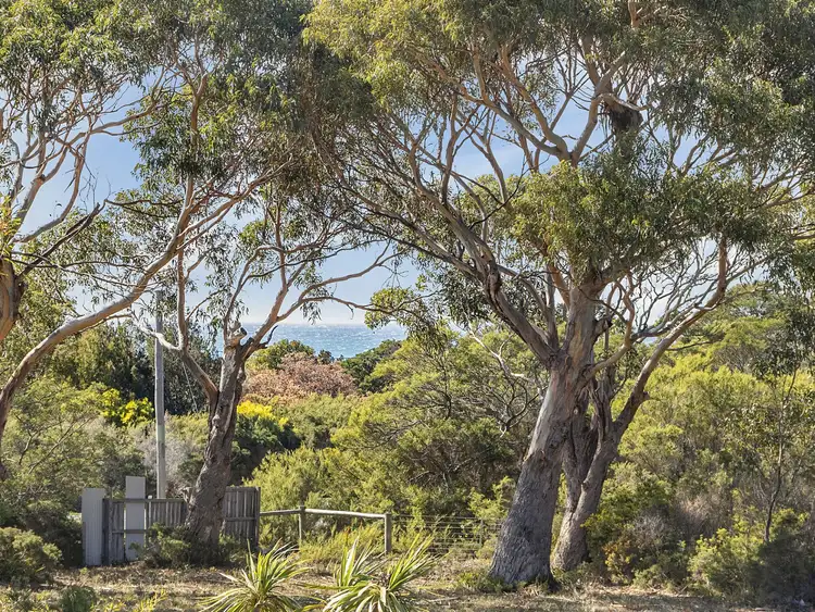 Seventh view of Homely house listing, 276 Harveys Farm Road, Bicheno TAS 7215