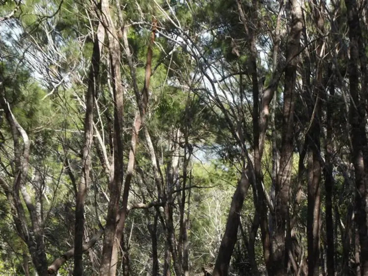 Third view of Homely land listing, 10 Calm Waters Crescent, Macleay Island QLD 4184