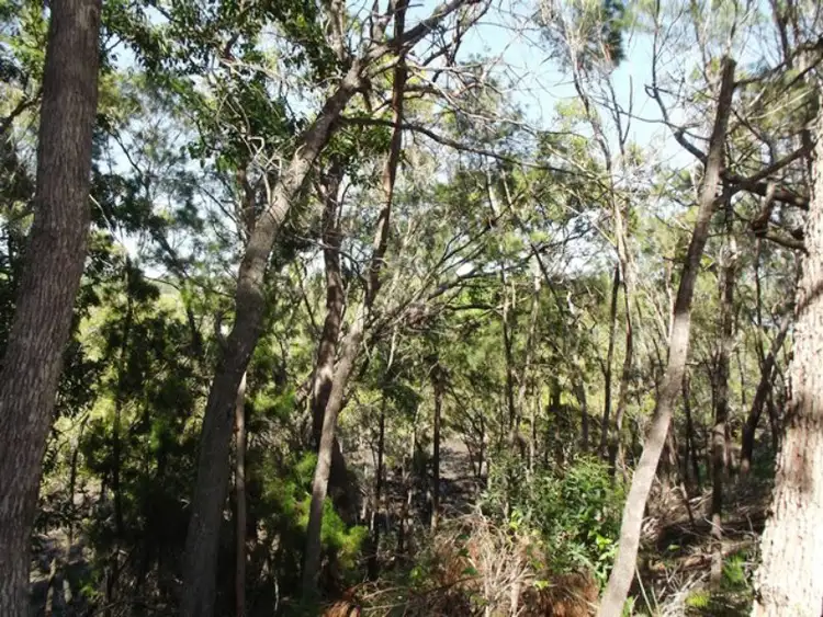 Sixth view of Homely land listing, 10 Calm Waters Crescent, Macleay Island QLD 4184