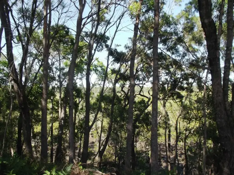 Seventh view of Homely land listing, 10 Calm Waters Crescent, Macleay Island QLD 4184