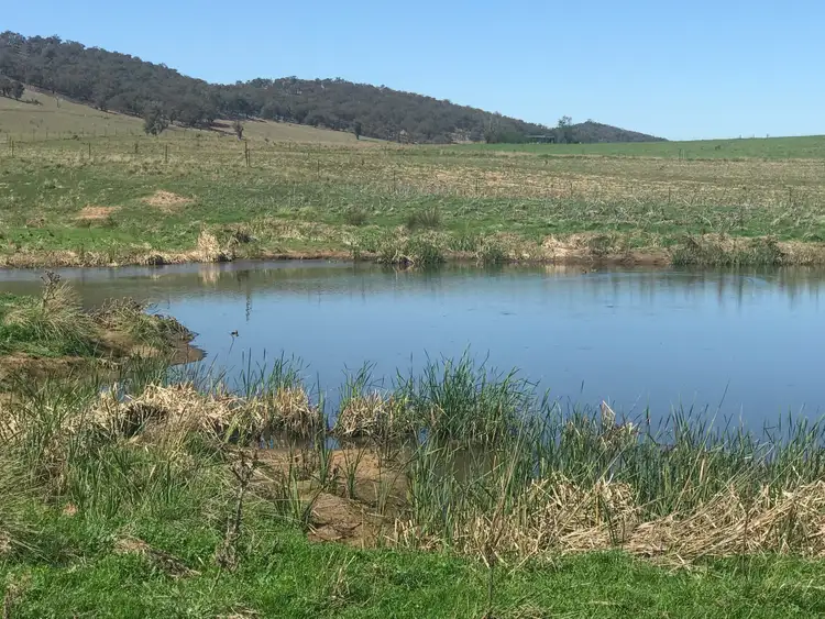 Second view of Homely rural property listing, 127 Calabash Road Murringo, Young NSW 2594