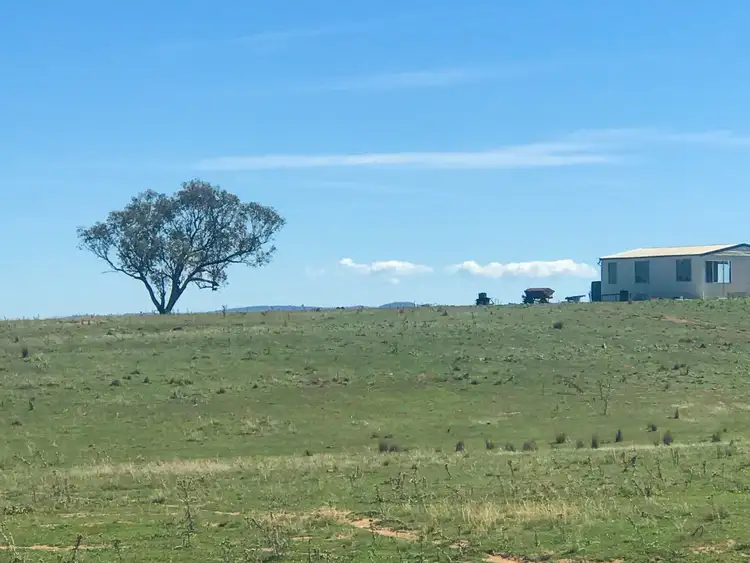 Third view of Homely rural property listing, 127 Calabash Road Murringo, Young NSW 2594