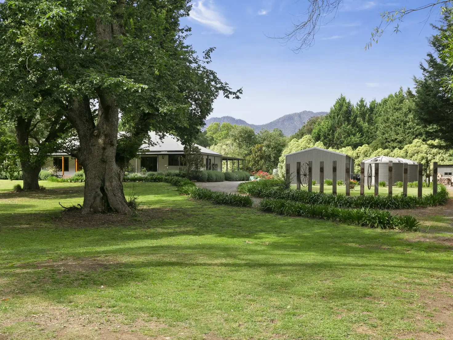 Main view of Homely house listing, 3306 Maroondah Highway, Taggerty VIC 3714