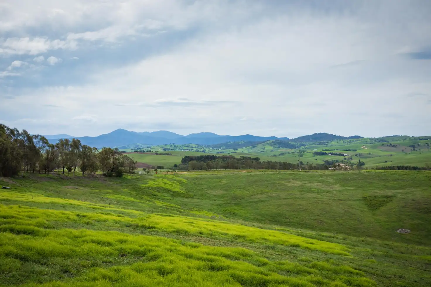 Main view of Homely land listing, Lot 3 DP806659 Candelo Road, Bega NSW 2550