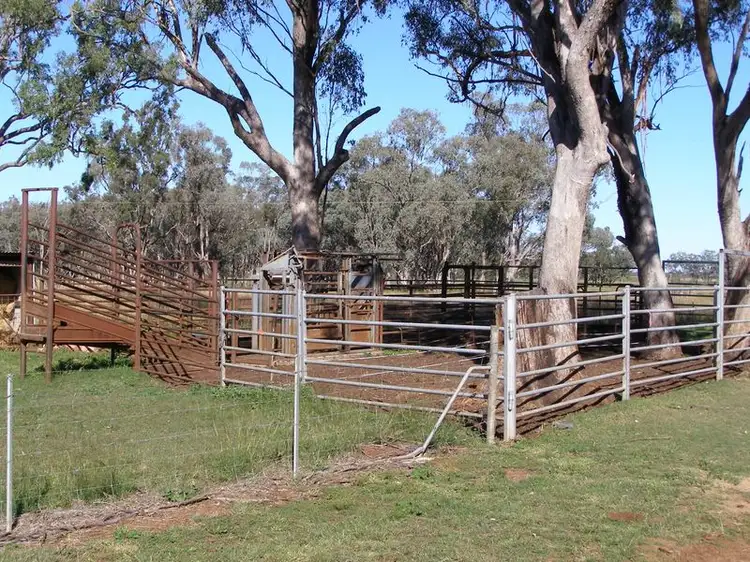 Fourth view of Homely rural property listing, 40 Hills Lane, Inverell NSW 2360