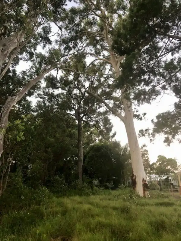 Third view of Homely land listing, 47 Treasure Island Avenue, Karragarra Island QLD 4184