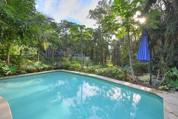81 Toolona Street, Tugun QLD 4224