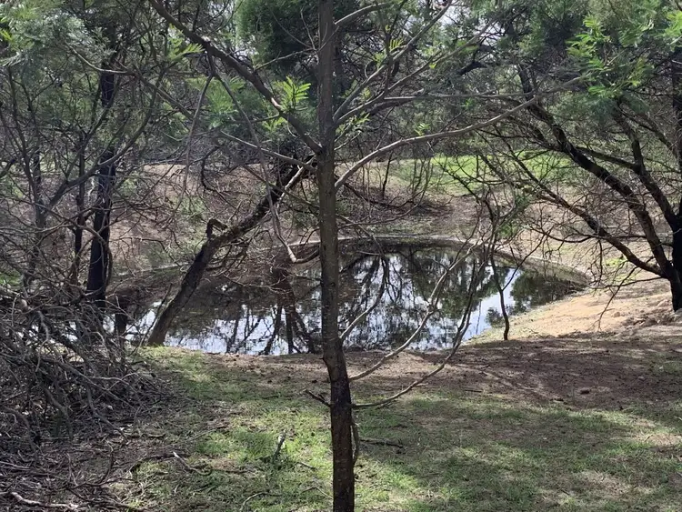 Second view of Homely rural property listing, 15178 Hume Highway, Marulan NSW 2579