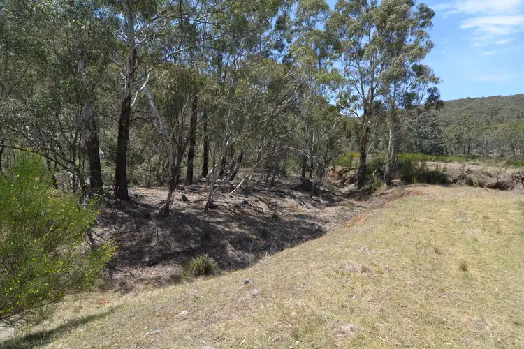 Fourth view of Homely rural property listing, Lot 43, 76 off Wattlemount Road/Pinnacle Fire Trail, Portland NSW 2847