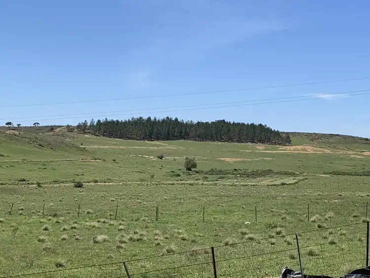 Seventh view of Homely rural property listing, 3170 Oallen Ford Road, Windellama NSW 2580