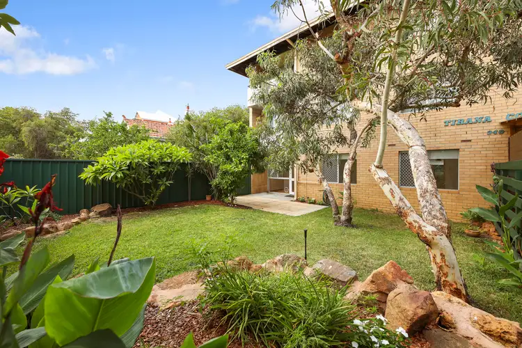 1/340 Stirling Street, Highgate WA 6003