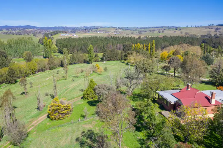 Main view of Homely house listing, 19 Blacks Mill Lane, O'connell NSW 2795