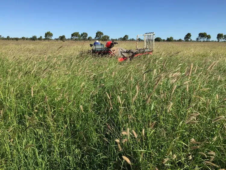 Fourth view of Homely rural property listing, 2 Foilview Road, Roma QLD 4455