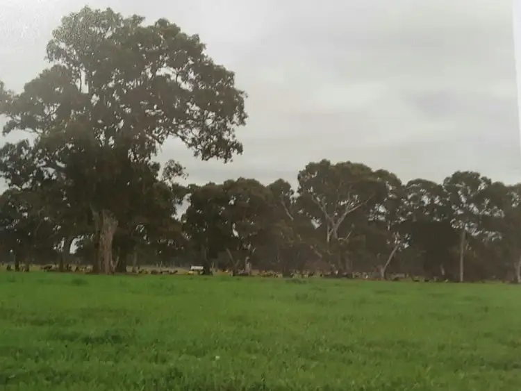 Second view of Homely rural property listing, 17150 Riddoch Highway, Penola SA 5277