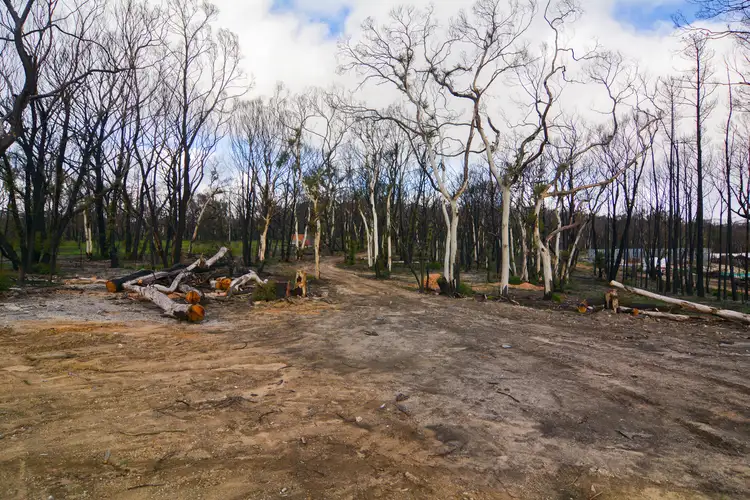 Second view of Homely rural property listing, 70 Valley View Road, Dargan NSW 2786