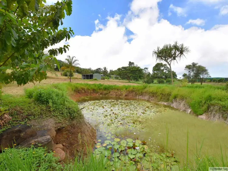 Seventh view of Homely house listing, 566 East Feluga Road, East Feluga QLD 4854