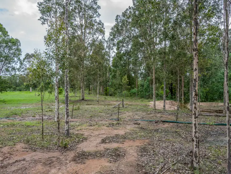 Sixth view of Homely rural property listing, 19, 20 & 2 Gundaroo Road, Vacy NSW 2421