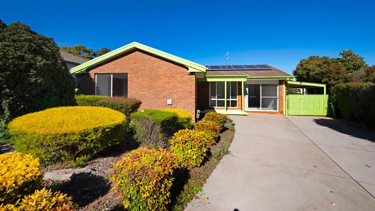 Main view of Homely house listing, 42 Magenta Square, Amaroo ACT 2914