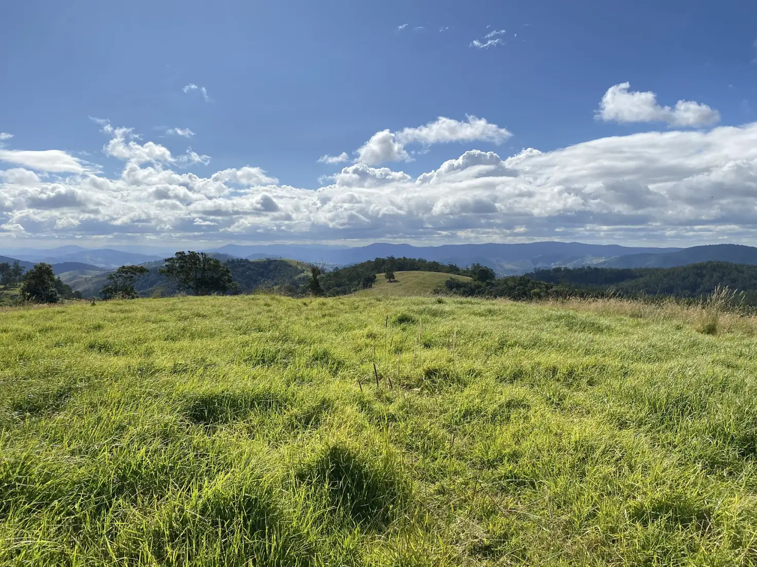 Main view of Homely rural property listing, Address available on request