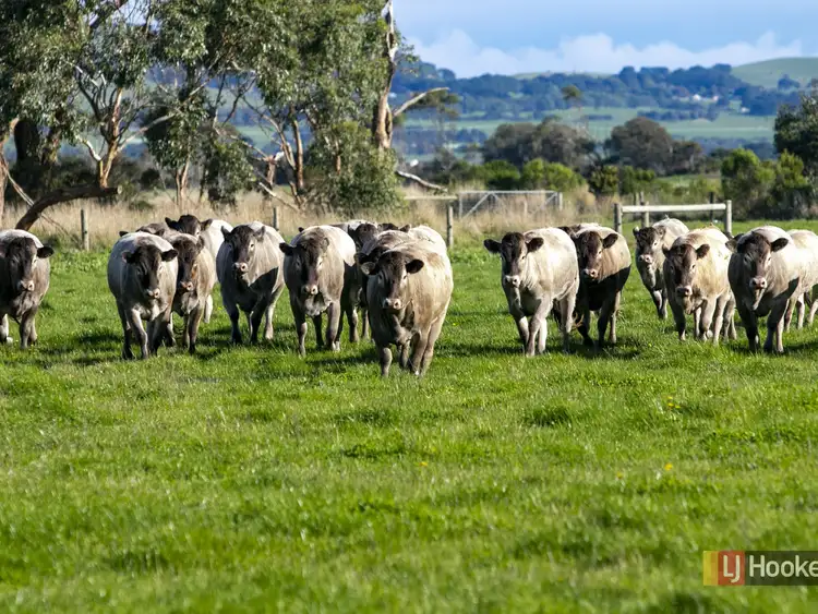 Second view of Homely rural property listing, 228 Lynche Road, Bass VIC 3991