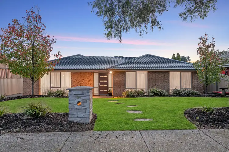 24 Apex Avenue