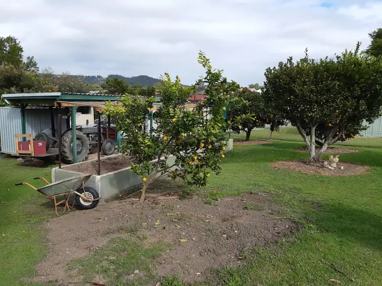 Second view of Homely house listing, 12 George Street, Bowraville NSW 2449