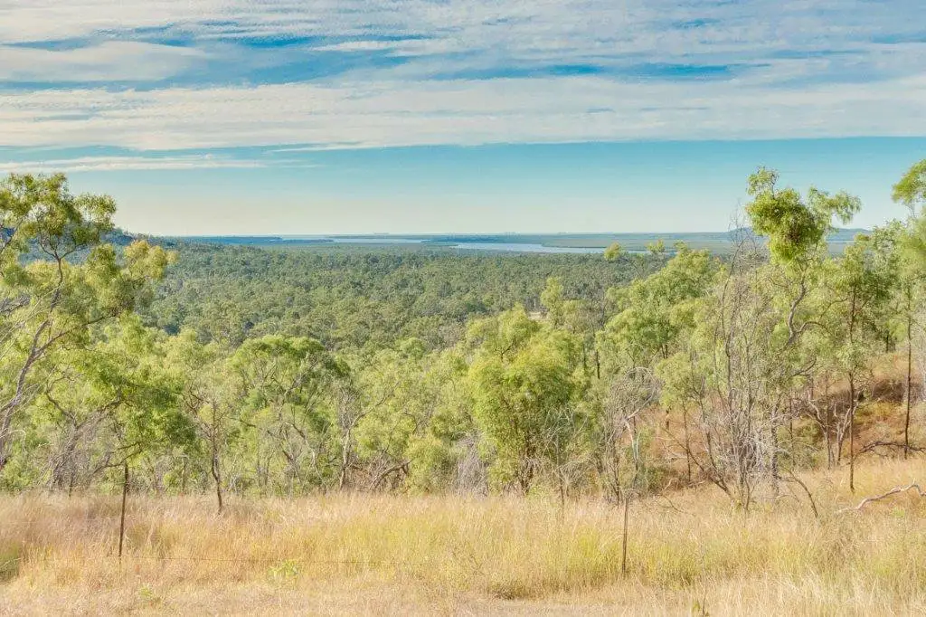 Main view of Homely rural property listing, 148 Wildman Road, Iveragh QLD 4680