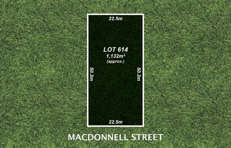 29 Macdonnell Street, Tanunda SA 5352