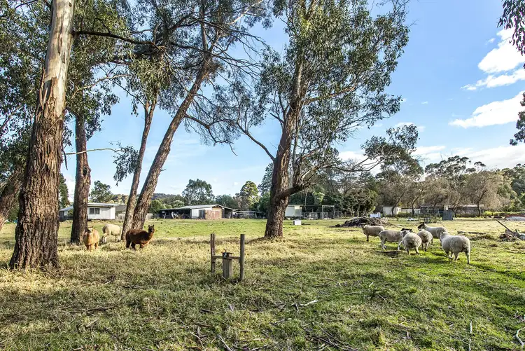 Fifth view of Homely house listing, 22 Brushy Park Road, Wonga Park VIC 3115