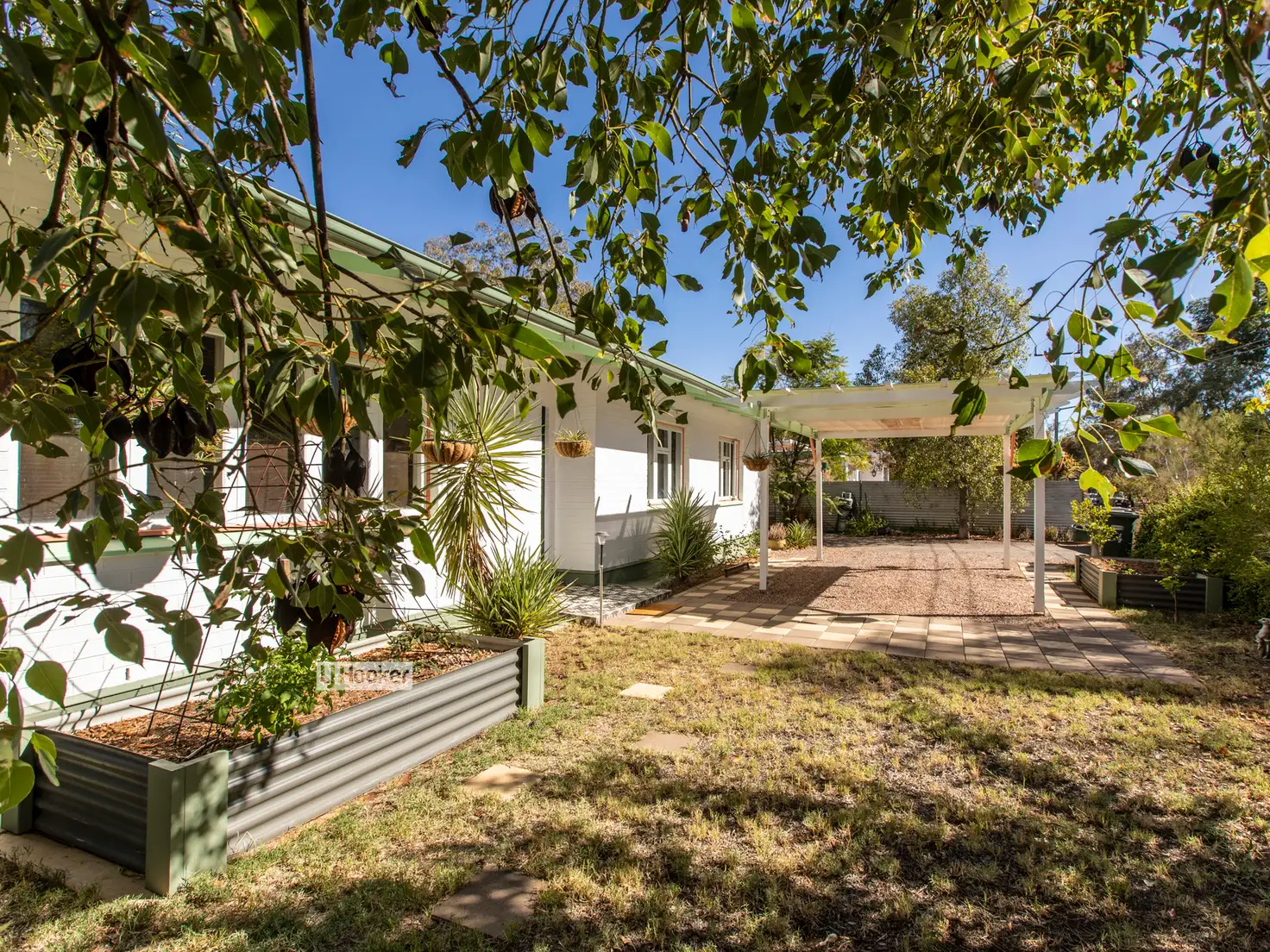 Main view of Homely house listing, 8 Jarvis Street, Braitling NT 870