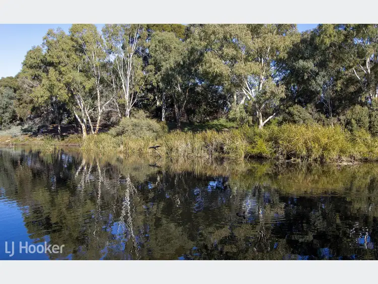 Fifth view of Homely townhouse listing, 5/432 Henley Beach Road, Lockleys SA 5032