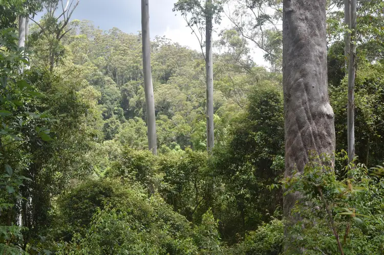 Main view of Homely rural property listing, 170-170a Lower Bobo Road, Ulong NSW 2450