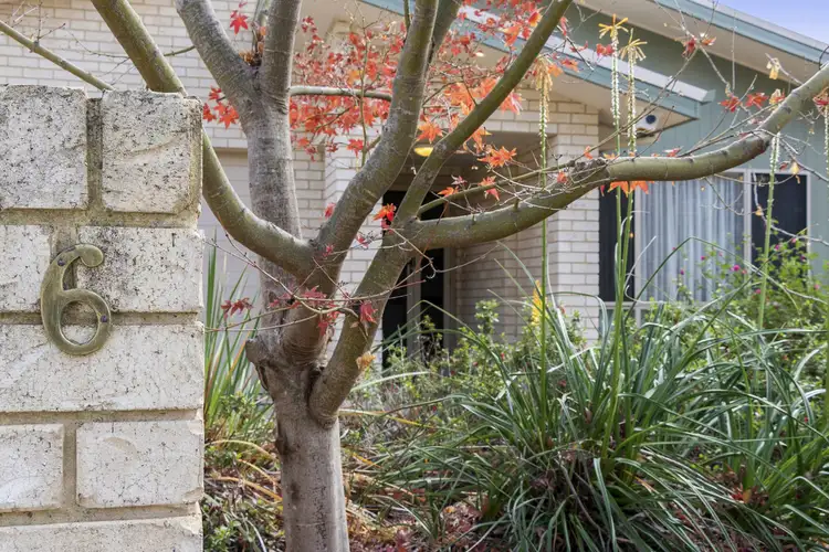 Third view of Homely house listing, 6 Hartog Street, Griffith ACT 2603