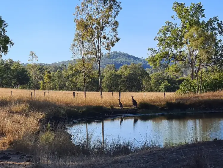 Lot 65 Coleyville Road, Coleyville QLD 4307