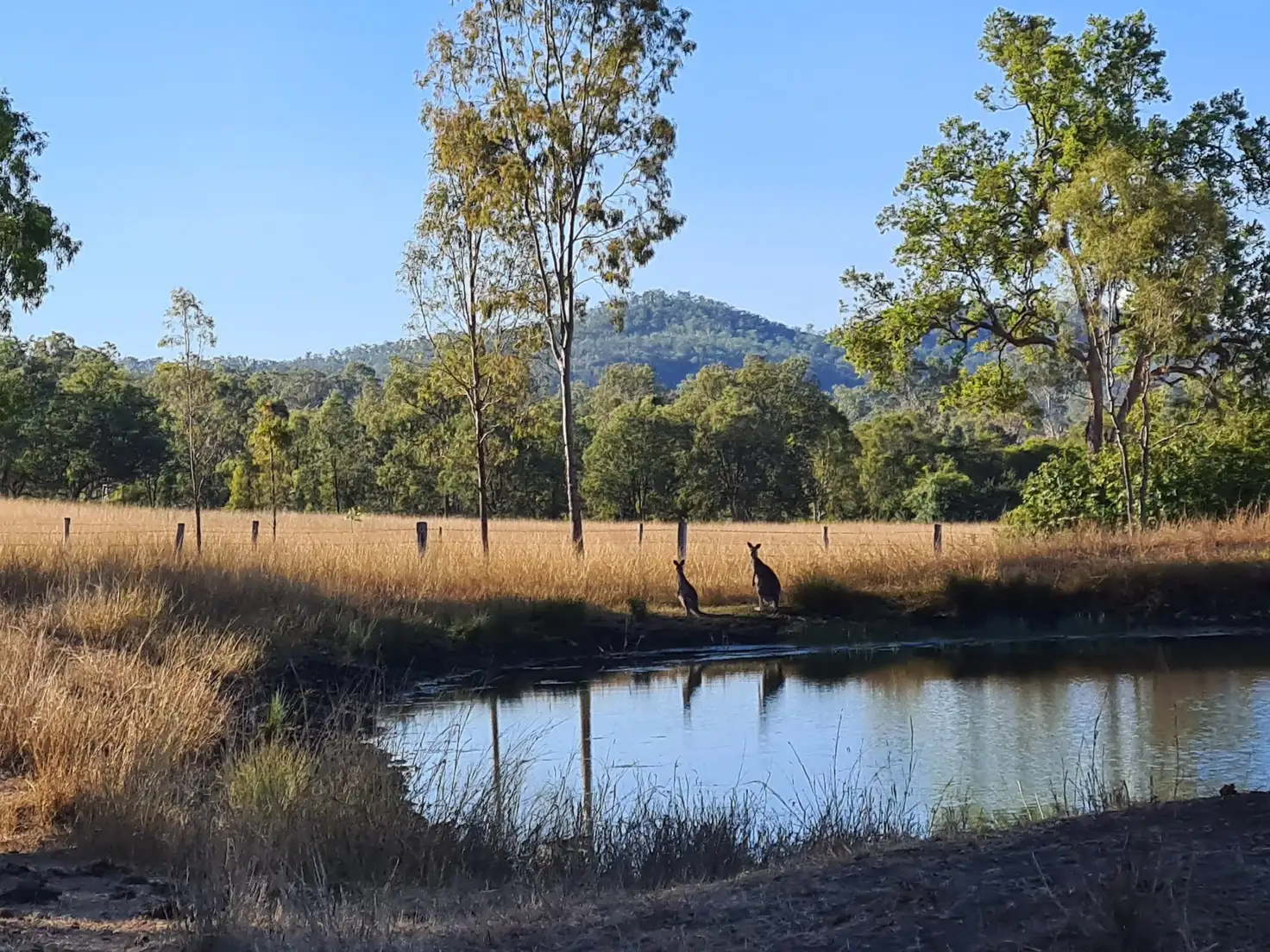 Main view of Homely land listing, Lot 65 Coleyville Road, Coleyville QLD 4307