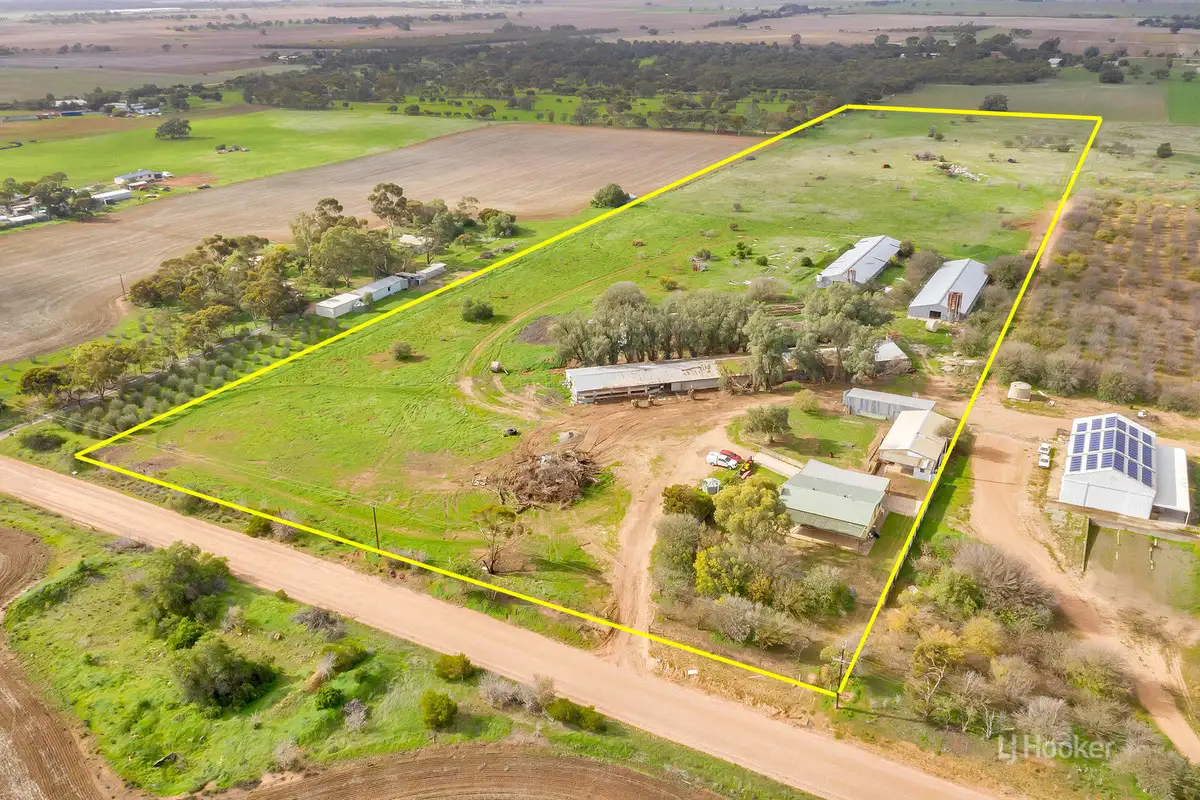 Main view of Homely rural property listing, 48 Frost North Road, Lewiston SA 5501