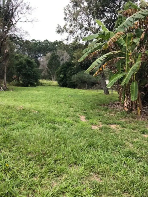 Main view of Homely land listing, 5 Peter Court, Macleay Island QLD 4184