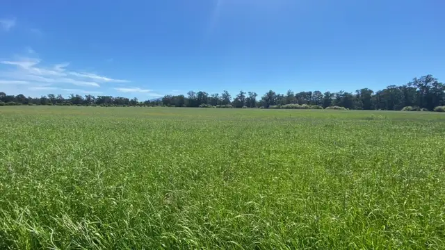 Lot 3201 East St & Tarraganda Lane, Bega NSW 2550