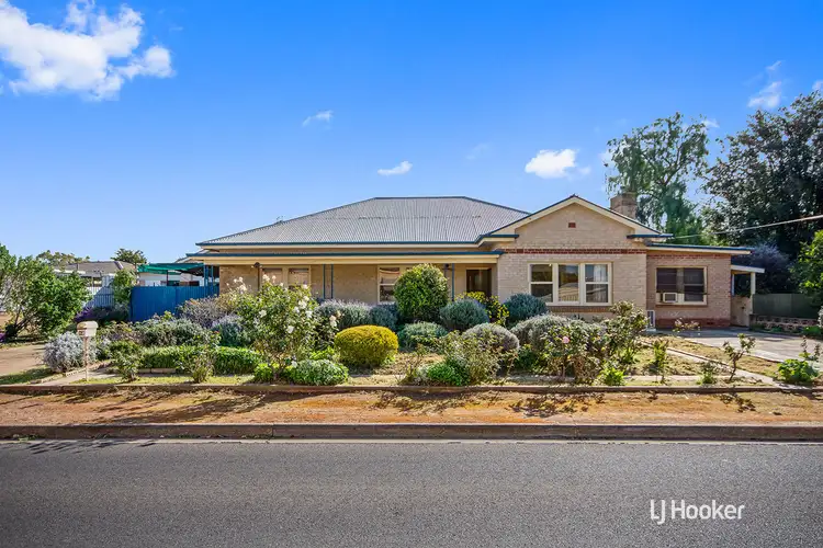 13 Ayling Street, Willaston SA 5118