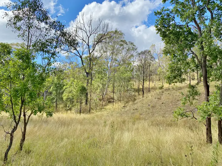 Fifth view of Homely rural property listing, Lot 53 Tim Shea Creek Road, Wengenville QLD 4615
