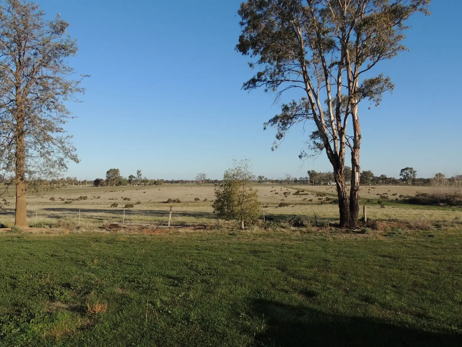 Main view of Homely house listing, 127 Louttits Lane, Koraleigh NSW 2735