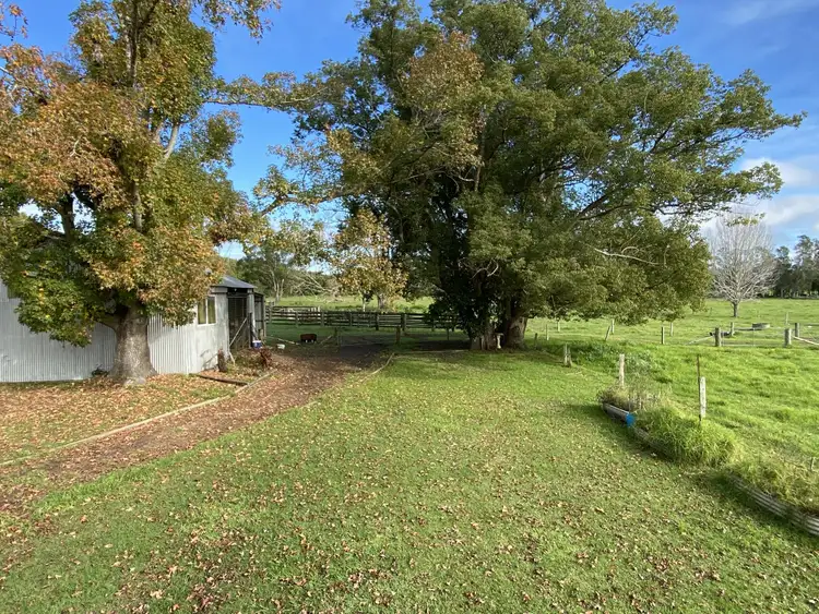 Second view of Homely rural property listing, 553 Moto Road, Moto NSW 2426