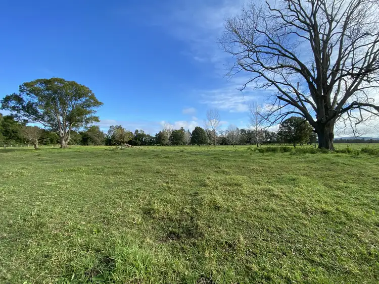 Seventh view of Homely rural property listing, 553 Moto Road, Moto NSW 2426