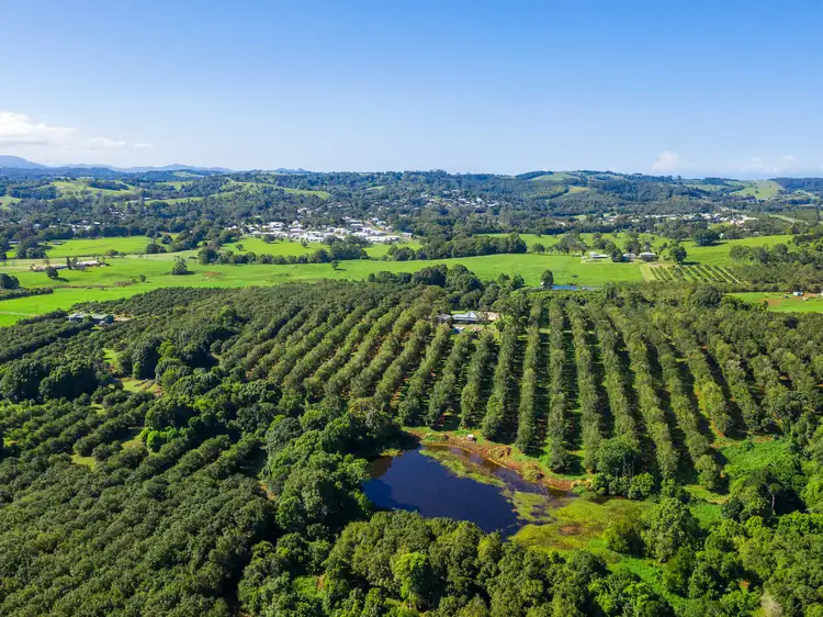 Main view of Homely rural property listing, 1035C Hinterland Way, Bangalow NSW 2479