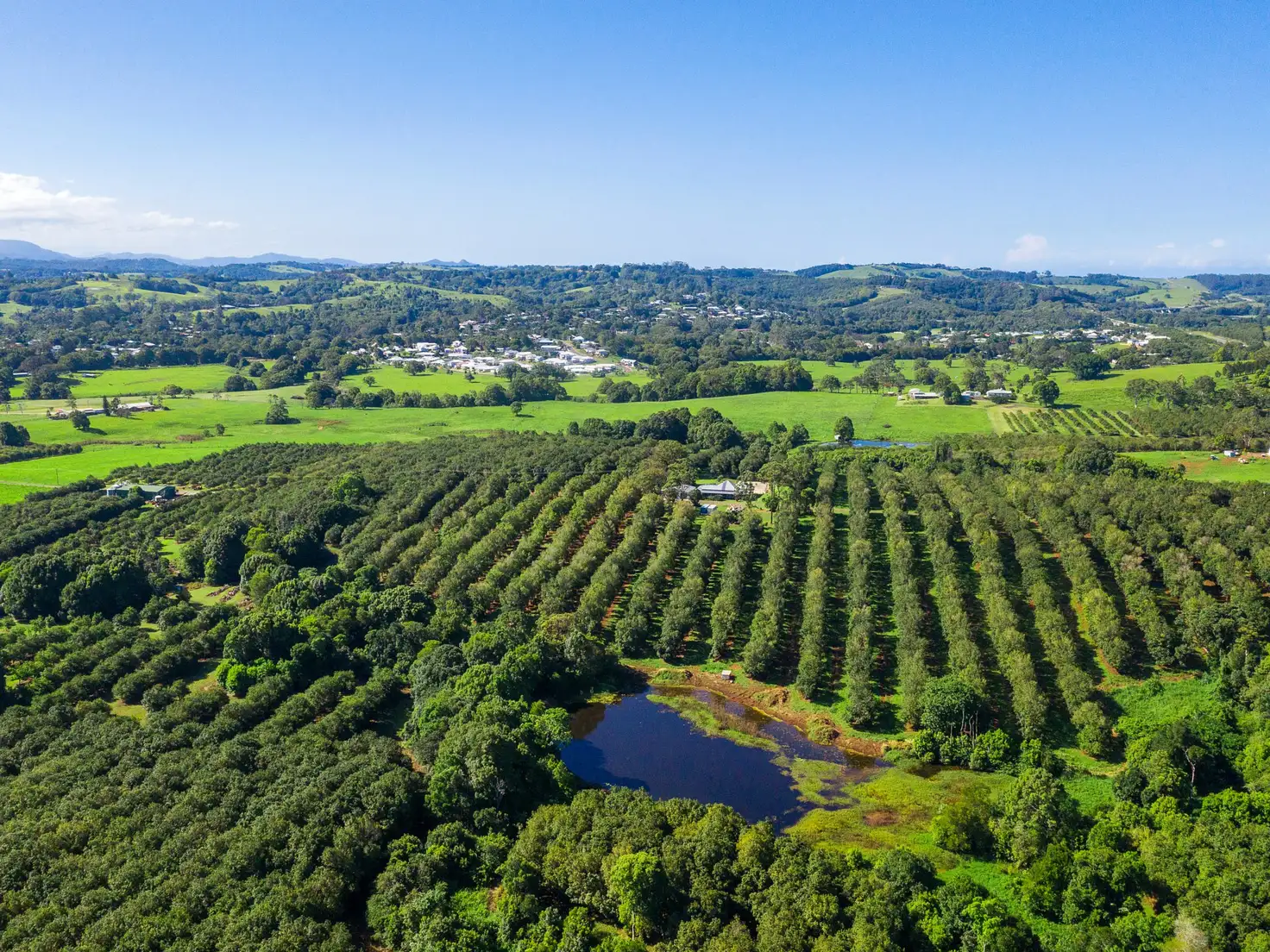 Main view of Homely rural property listing, 1035C Hinterland Way, Bangalow NSW 2479
