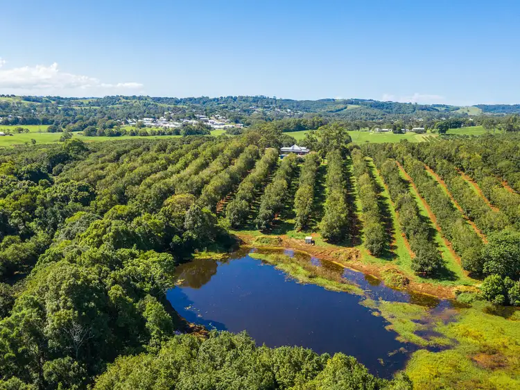 Third view of Homely rural property listing, 1035C Hinterland Way, Bangalow NSW 2479