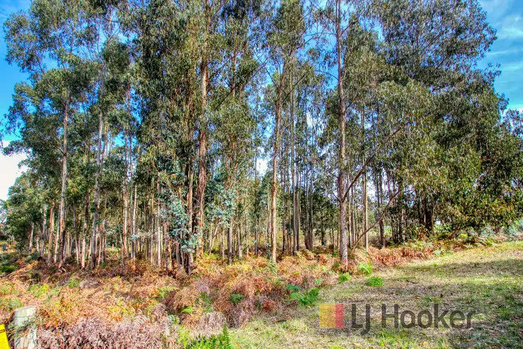 Fifth view of Homely land listing, Lot 39 Woylie Road, Northcliffe WA 6262