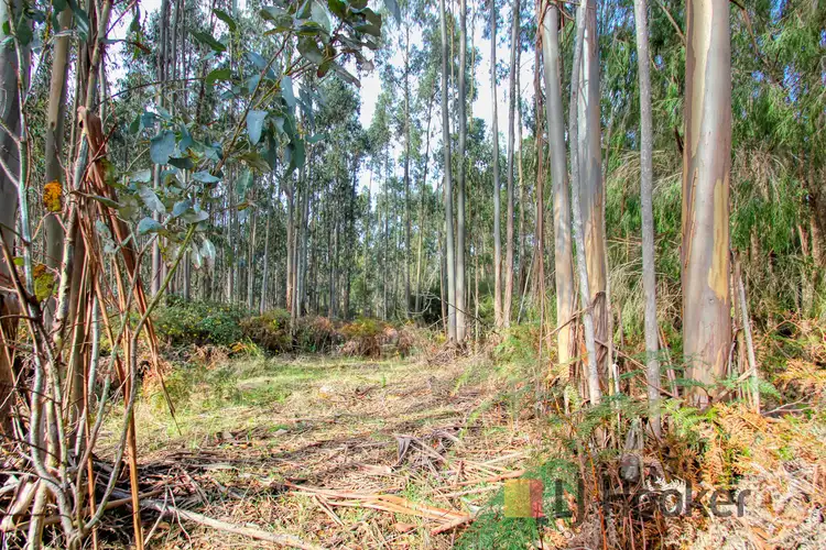 Seventh view of Homely land listing, Lot 39 Woylie Road, Northcliffe WA 6262