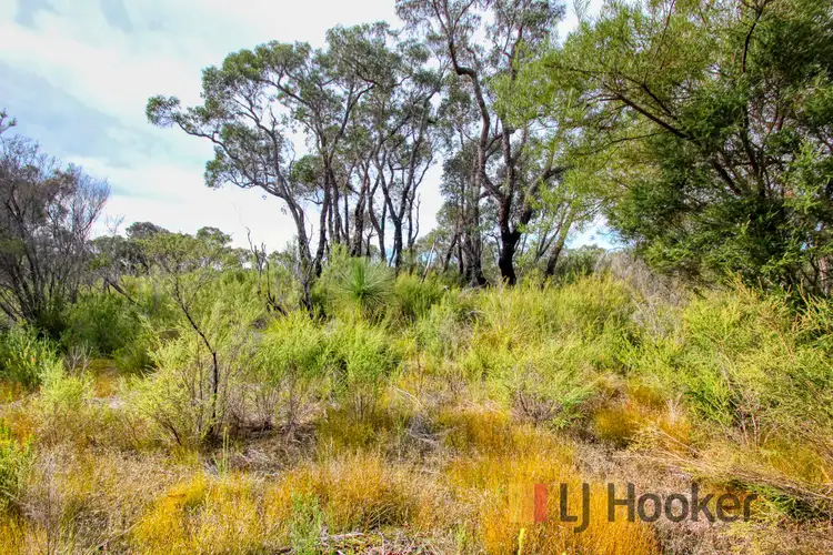 Third view of Homely land listing, Lot 29 Quenda Drive, Northcliffe WA 6262
